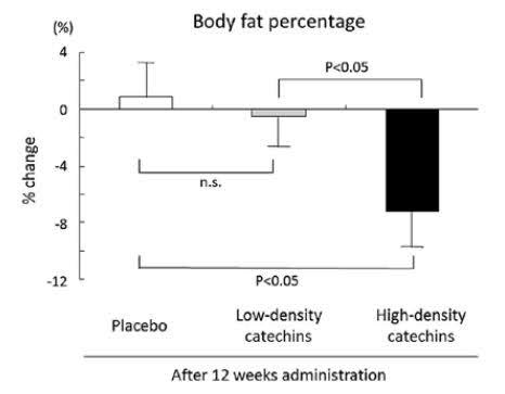 服用兒茶素12星期後，脂肪下降